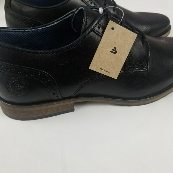 Bull Boxer - Picture 5 of 5